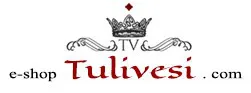 tulivesi.com